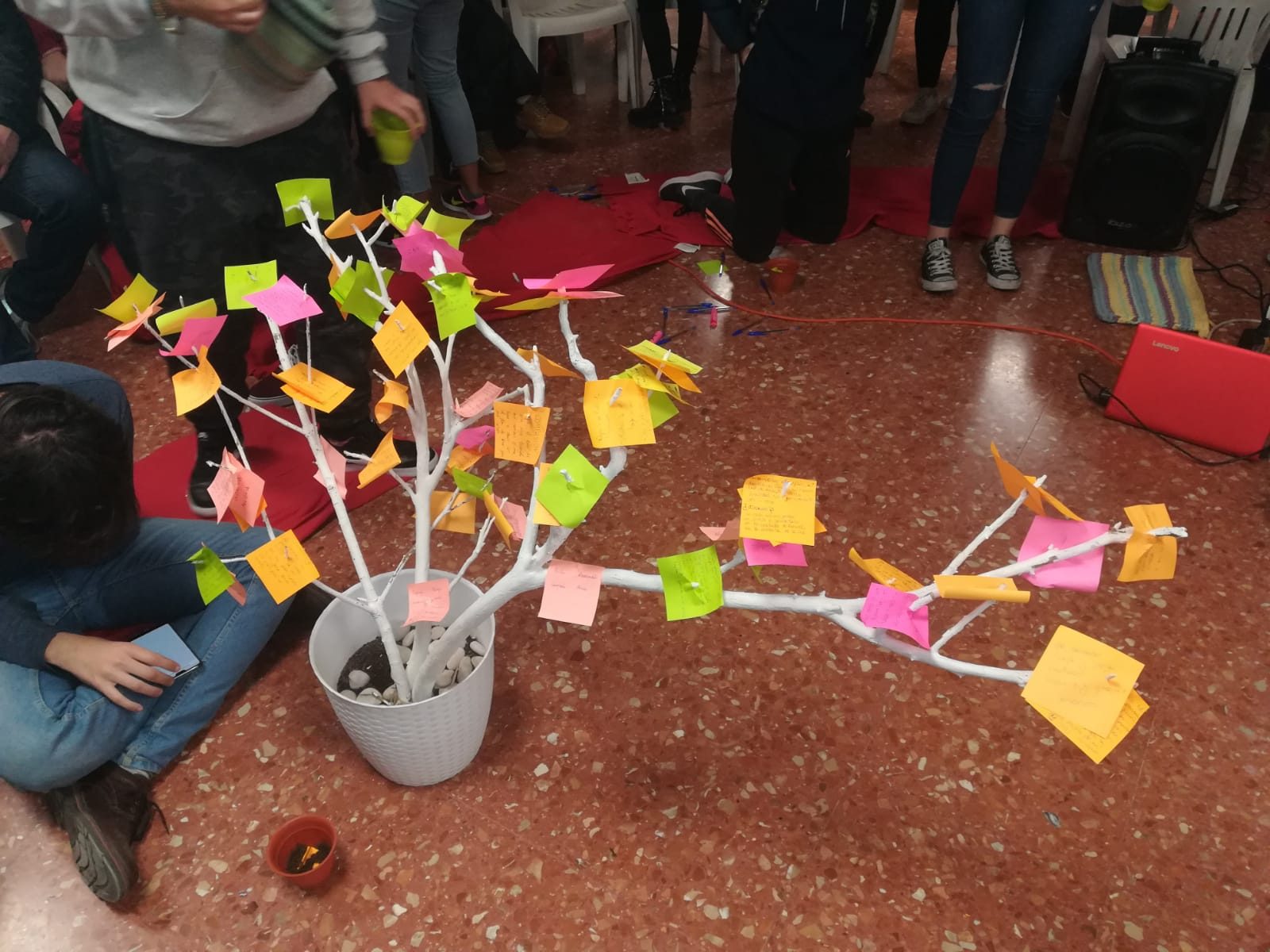 White branch tree in a flowerpot covered with colourful sticky notes written by the young people